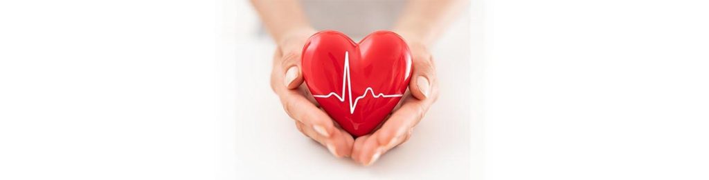 Elevate Your Heart: The Fitness Path to Cardiovascular Wellness Elevate Your Heart: The Fitness Path to Cardiovascular Wellness