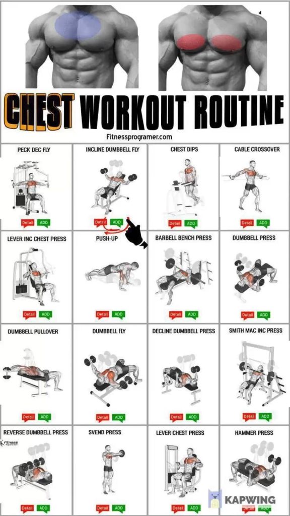 Effective Chest Workouts: Techniques and Benefits Explained Effective Chest Workouts: Techniques and Benefits Explained