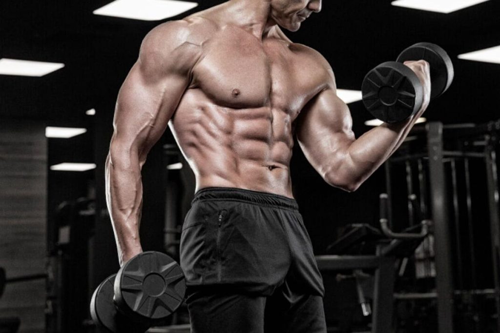 Understanding the Benefits and Techniques of Oblique Workouts
