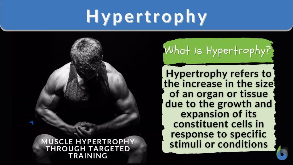 Unlocking Hypertrophy: The Science Behind Muscle Growth