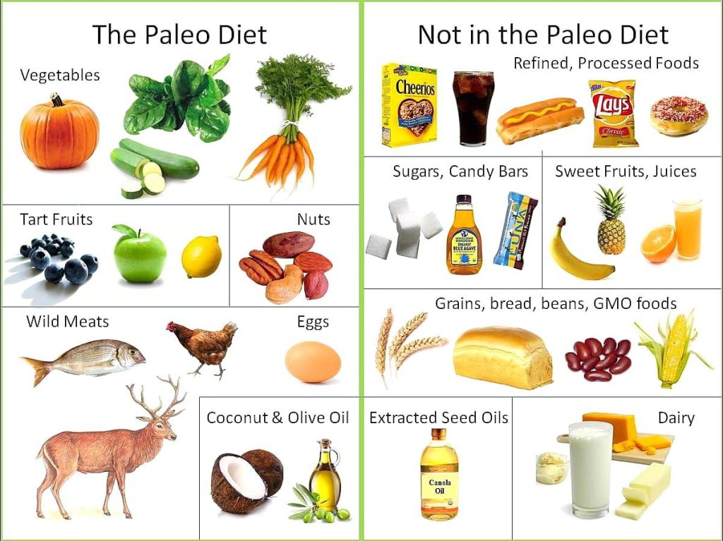 Exploring the Paleo Diet: A Journey to Ancient Eating Habits Exploring the Paleo Diet: A Journey to Ancient Eating Habits