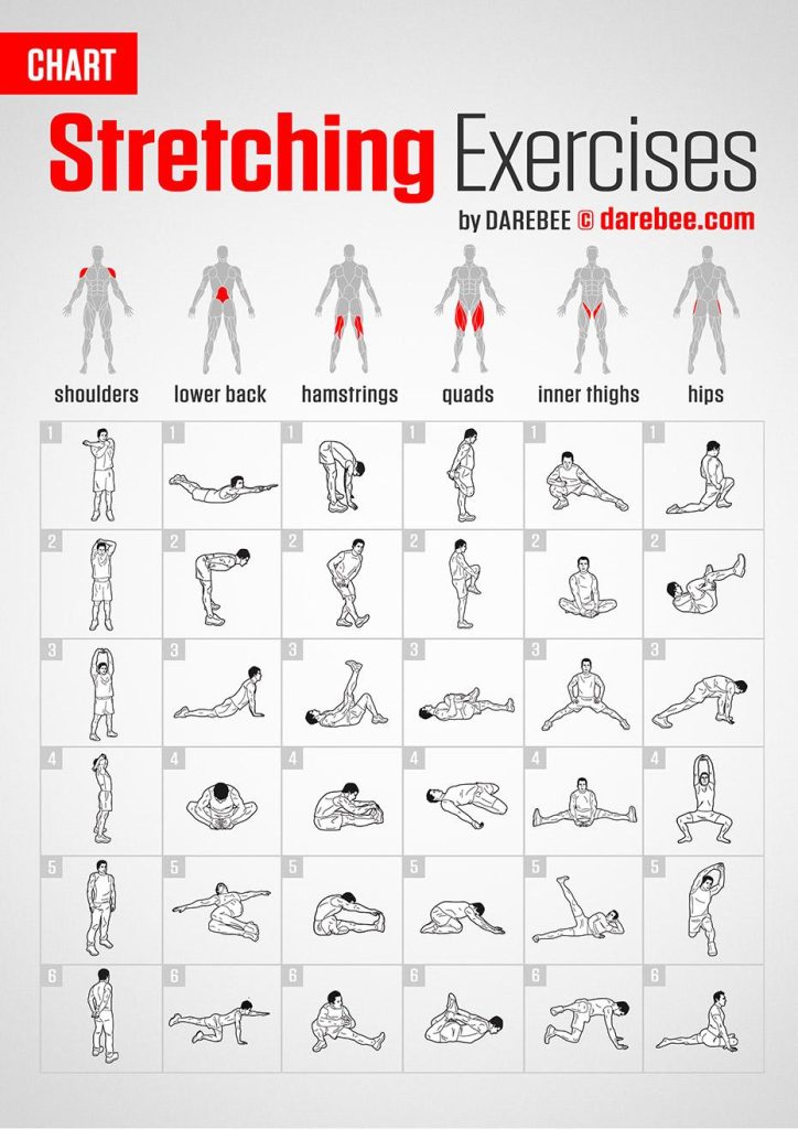 Embrace Wellness: The Power of Stretching and Flexibility Embrace Wellness: The Power of Stretching and Flexibility