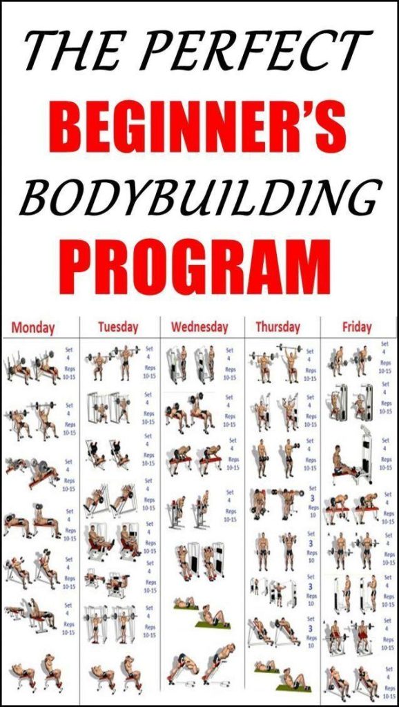 Elevate Your Gains: Crafting the Ultimate Bodybuilding Program Elevate Your Gains: Crafting the Ultimate Bodybuilding Program